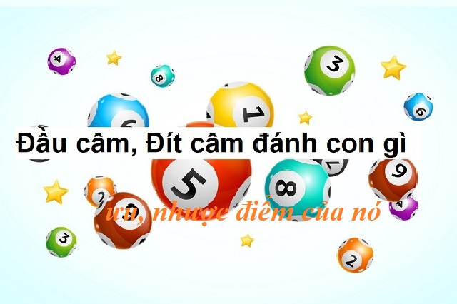 pháp soi cầu phổ biến hiện nay